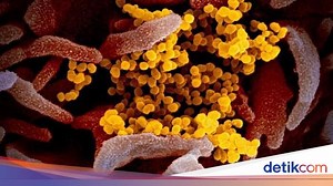 Bagaimana Cara Penyebaran Virus Corona? Ini Penjelasannya