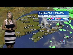 The Weather With Stephanie Tsicos August 28 2024