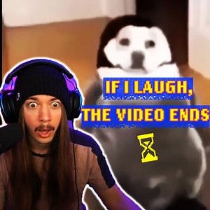 Try Not To Laugh: Comedy GOLD! | Jimmy here