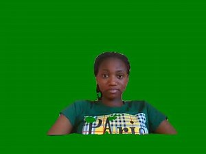 A demo of camera's feeds colored with PixelLib.