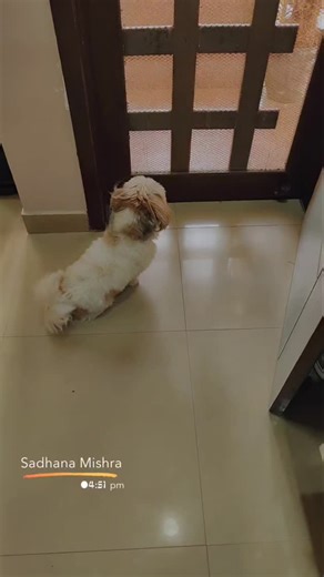 Instagram video by THE CHARLIE DON..!! • Mar 23, 2025 at 5:22 AM