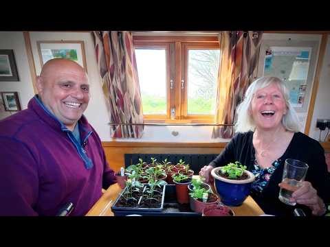 We Turned Our BOAT Into a GREENHOUSE -It’s Getting Out of Hand - Canal Narrowboat Life - Episode 231