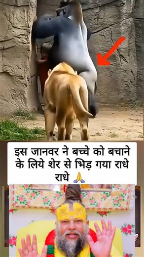 #ghaffarbhai #shorts