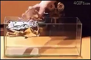 Must watch awesome chemical reactions!! don't miss it at any chance!