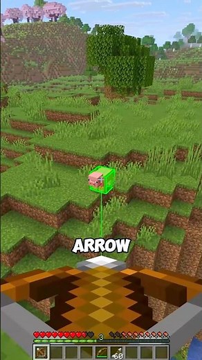 This Mod Shows the Exact Path of Your Arrow