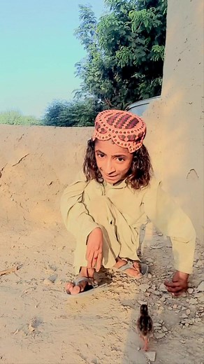 Caring for Small Birds in Rural Settings