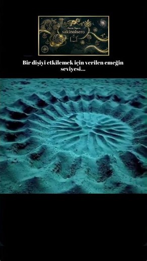 Kendine Eş Bulmak İçin Kuma Sanat Eseri Çizen Balık 😳🐟 #doğa