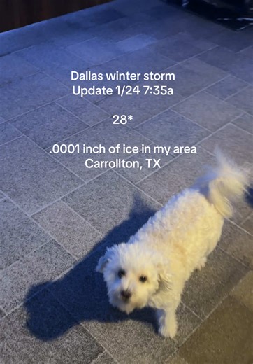Dallas winter storm update - 1/24 7:35a - Carrollton, TX - temp 28 degrees So….the expected overnight was to accumulate 1” So far incorrect. Let’s see how the rest of the weekend goes.