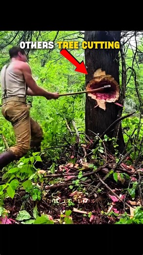 Normal tree cutting skills vs. The King of tree cutting