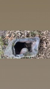 3 comments | Rock hunting fossil geode surprise what do you think it is and what should I do and if open it up how!! It’s pretty neat as it is! #rockhunting #rocks #fossil #geode #hiking #backpacking #foraging #treasurehunting @prepperbabe @mememinecraft | PrepperBabe | Facebook