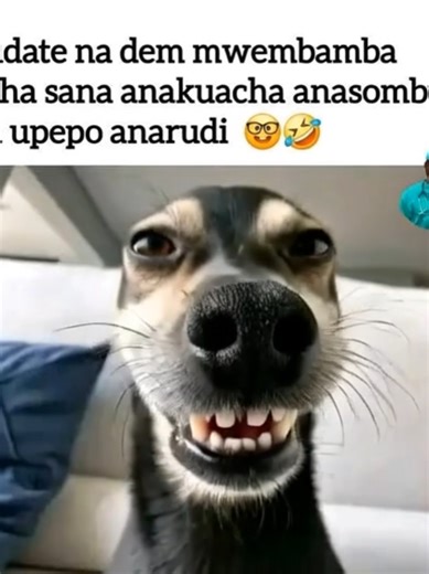 PART 2 |#contentcreator #kenya #fypシ゚ #viral #university ELIMU NI UFUNGUO