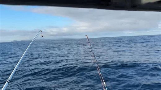 New outriggers from Doug Burts Tackle World Gold Coast work well. Now I just have to find the fish! | Dam Busters