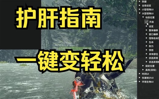 【怪物猎人崛起】自用MOD分享！显血!出门鬼火鸟满!击杀慢镜头!护石修改!