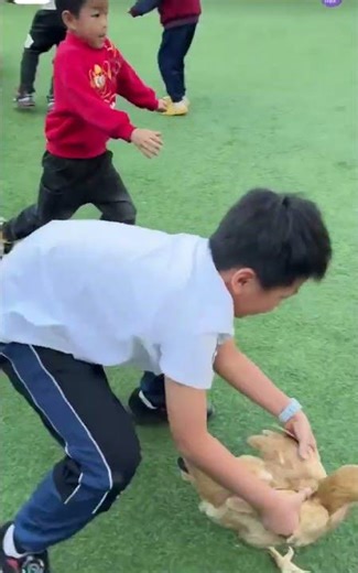 We Hosted a Chicken Catching Competition... It Got CHAOTIC