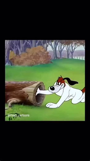 THUGS & CARTOONS on Instagram: "Out-Foxed, in Tex Avery’s 1949 cartoon, offered a sharp parody of the classic “fox hunt,” turning tradition into absurdity, with over-the-top gags, relentless pacing, and a twist ending that flipped the roles of hunter and hunted. What was once a symbol of prestige became pure slapstick chaos. The idea is that humans have always enjoyed poking fun at authority, tradition, and social rituals, but is every satire timeless, or does humor age with culture? In your opi