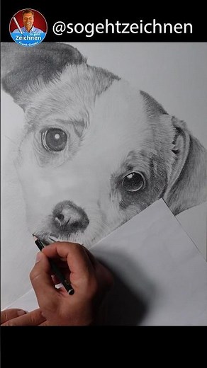 Hund zeichnen Bleistift - Wie zeichnet man einen Hund realistisch?