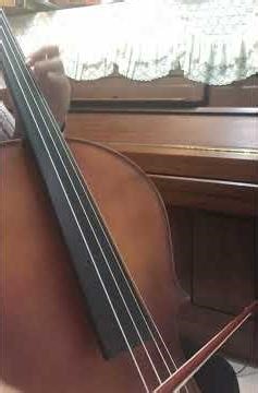 Easy cello solo: Crossing to Ireland