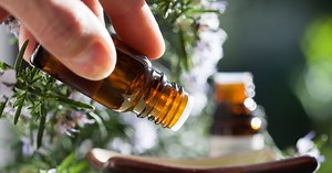 Neuroscience Unearths How Olfaction Drives Primal Motivation