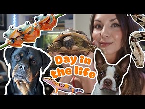 A Day in My Life With Multiple Pets 🐍🦎 | Daily Care & Cleaning