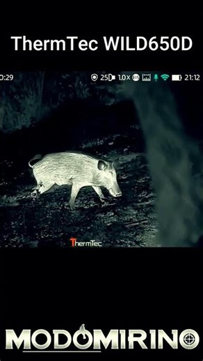 Long-Distance Thermal View in All Conditions