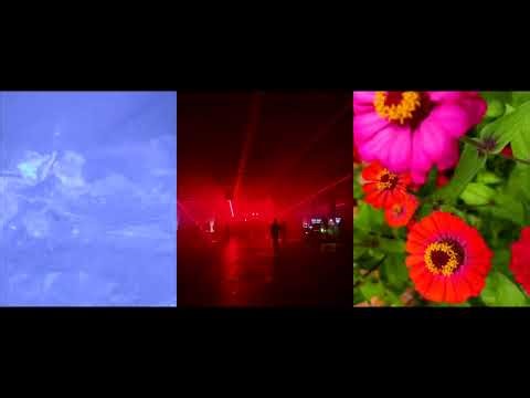 Nik Brinkman - Hypnotherapy (Official)