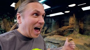 239K views · 521 shares | My GIANT pet Green Anaconda "Ivy" in her...