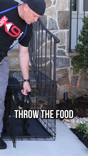 84K views · 2.3K reactions | How To Train Your Puppy Like a Pro #puppy #pups #dog #dog #dogtraining #fyp | American Standard Dog Training | Facebook