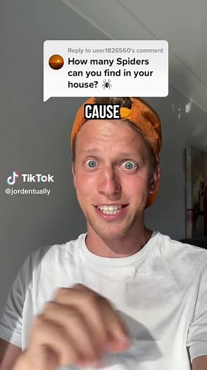 Spiders in Australia: A Year of Surprises