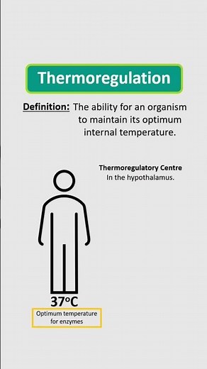 Thermoregulation #homeostasis #biologyrevision