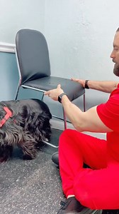 Dr.Thomas Hamilton.Fan Club on Reels