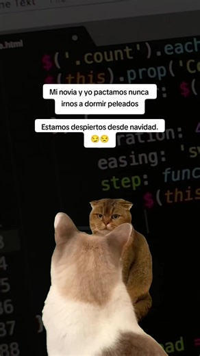 #Meme #andercode #developer #programacion #python