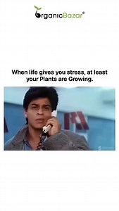 5.5K views | 100 problems in my life, but at least I have a garden to Cry in #OrganicBazar #organicgardening #memes #fyp #goviral #gardeninglife #plantsmakepeoplehappy #reels | OrganicBazar | Facebook