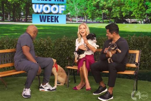 Watch a dog poop on Kelly Ripa, Mark Consuelos' 'Live' set during on-air segment