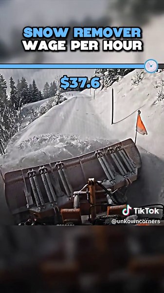 Snow Remover Wage Per Hour! #fyp #foryou #wage #viral | snow removal