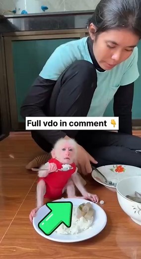 Mini Cute Monkies 😘💋😍 #viralreelsfb #Babymonkey #cutebabymonkey #viral | BeeBi Monkey Tv