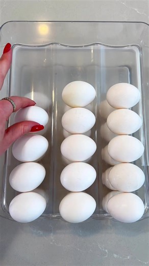 Satisfying ASMR Fridge Restock Sounds