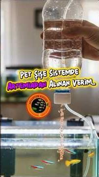 Artemia hatching (egg hatching) process 🐣🪳🐟🥚 #aquarium #aquarium #planetaquarium #aquascape