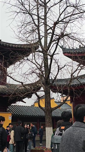 小女 (@xiau_nu)’s videos with original sound - 小女