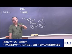 【実戦シリーズ】 生命科学 第1講 - 7. DNA損傷のパターンに対応して、適合するDNA修復機構が存在する | 医学部学士編入対策講座 河合塾KALS