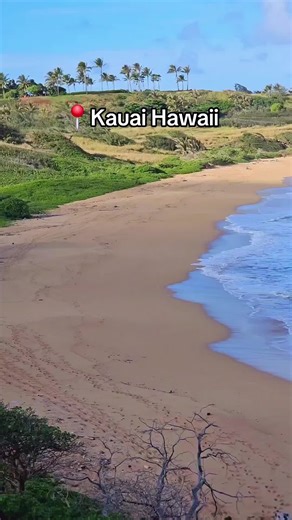 📍Kauai Hawaii