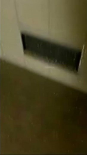 Scream from Backrooms - Found Footage # 3