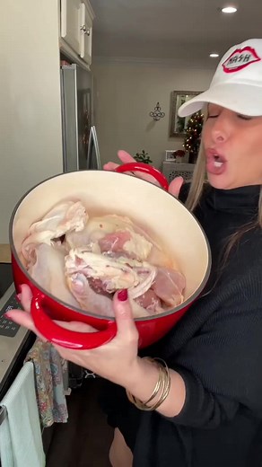Italian Chicken soup homemade! With bread balls! So delicious! Full recipe in the comment section #chickensouprecipe #homemadechickensoup #italianrecipes Better Than Bouillon | Melissajorealrecipes