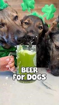 Beer For Dogs Recipe