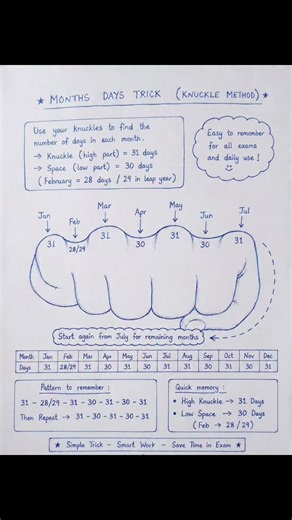 How Many Days in Each Month? Knuckle Trick! 🧠 #Shorts #StudyHacks