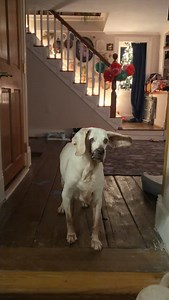 94K views · 18K reactions | I even put disclaimers on our videos and...