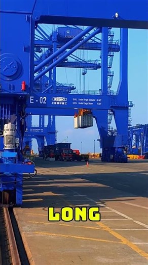 MASSIVE! CMA CGM Dolphin Cargo Container Ship Getting Loaded #ship #cargoship #containership