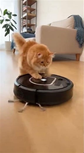 Roomba