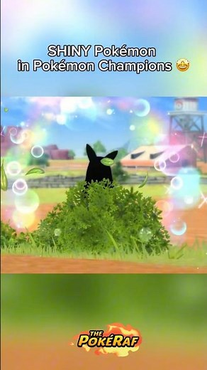SHINY HUNT Pokémon in Pokémon Champions! #pokemon #pokemonchampions