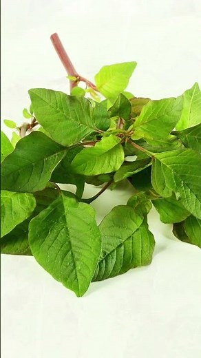 Why Callaloo Is a Nutritional Powerhouse