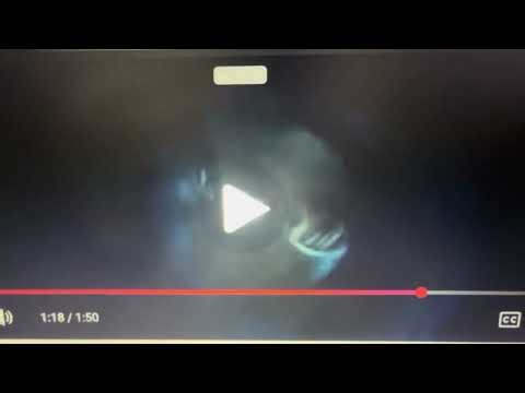 Finding Nemo (2003) Bruce - part 8